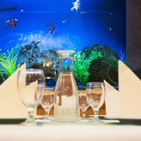 Hotel Olympia Wellness Karlsbad