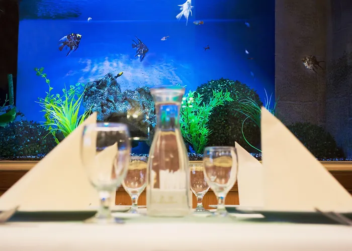 Hotel Olympia Wellness Karlovy Vary