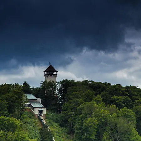 Olympia Wellness